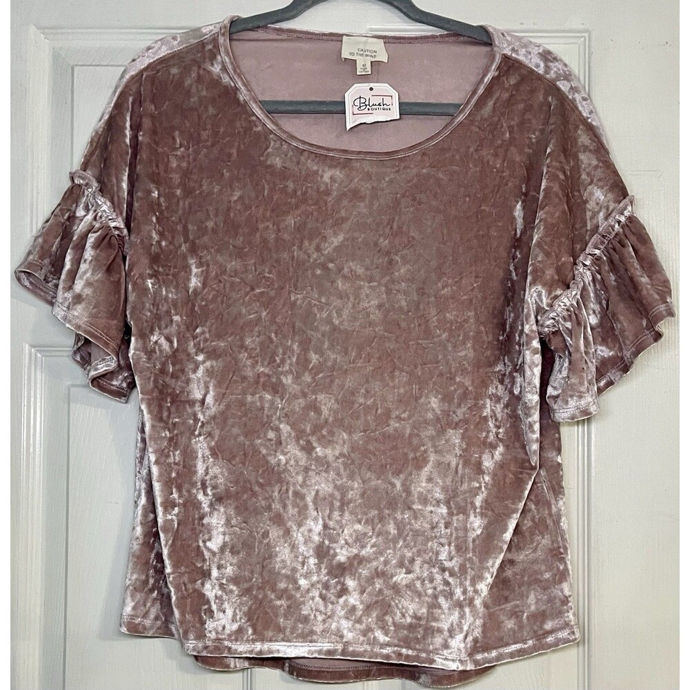 Caution to the Wind Blush Pink Crushed Velvet Ruffle Sleeve Top – Size M